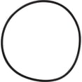 thumbnail image 1 of Commercial Water Distributing WS03X10039 GE SmartWater Filter O-Ring, 1 of 1