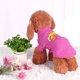thumbnail image 1 of Camiseta para Mascotas, Ropa para Cachorros, Gato, Vestuario, Disfraces, #26, XS, 1 of 7