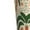 White, variant on palm tree Asian leopard Print Pajama Pants for Men,Men’s Pajama Bottoms,Mens PJ Pants with Pockets & Button Fly-Large