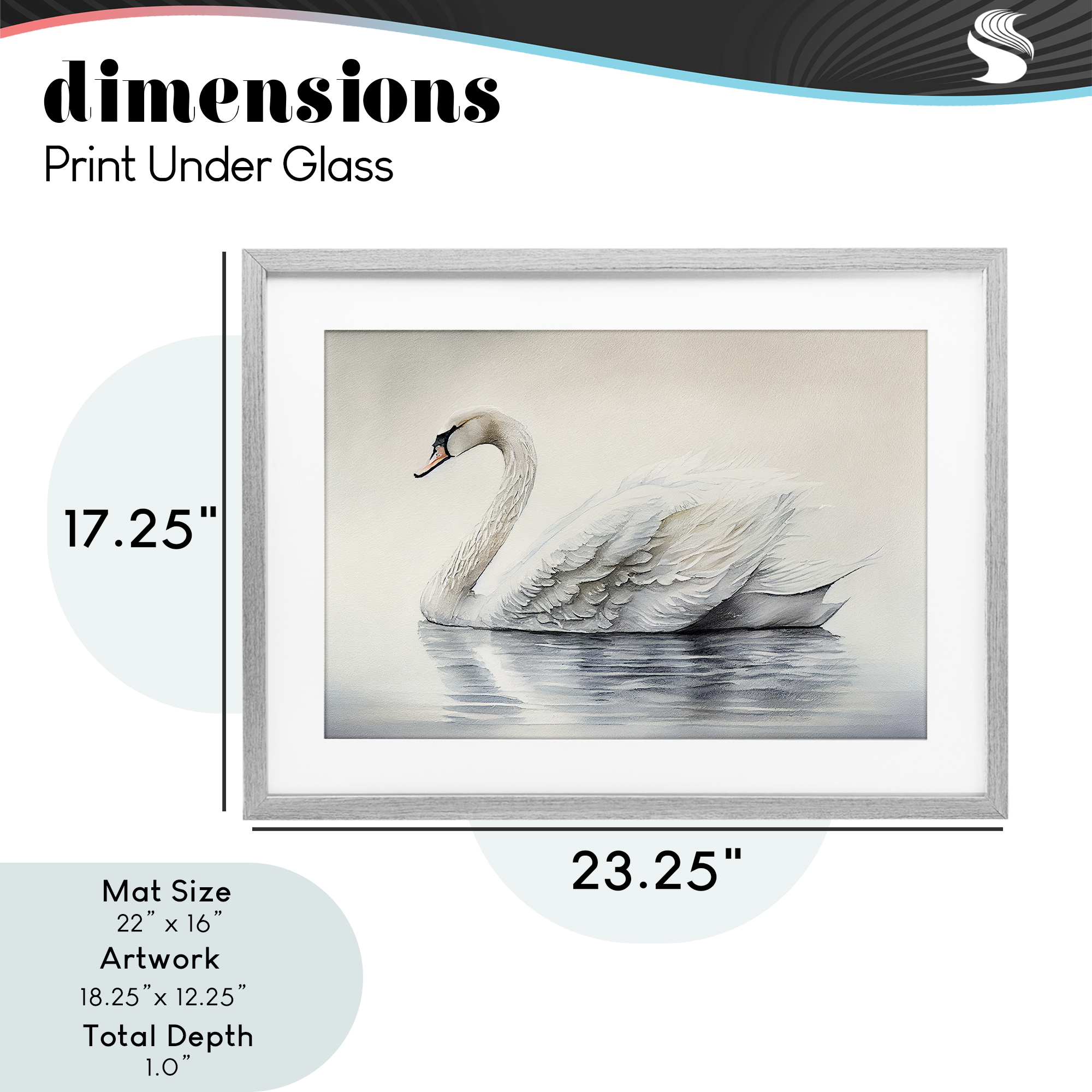 Elegant Floating Swan Gray Framed Print Under Glass, design by Sasha