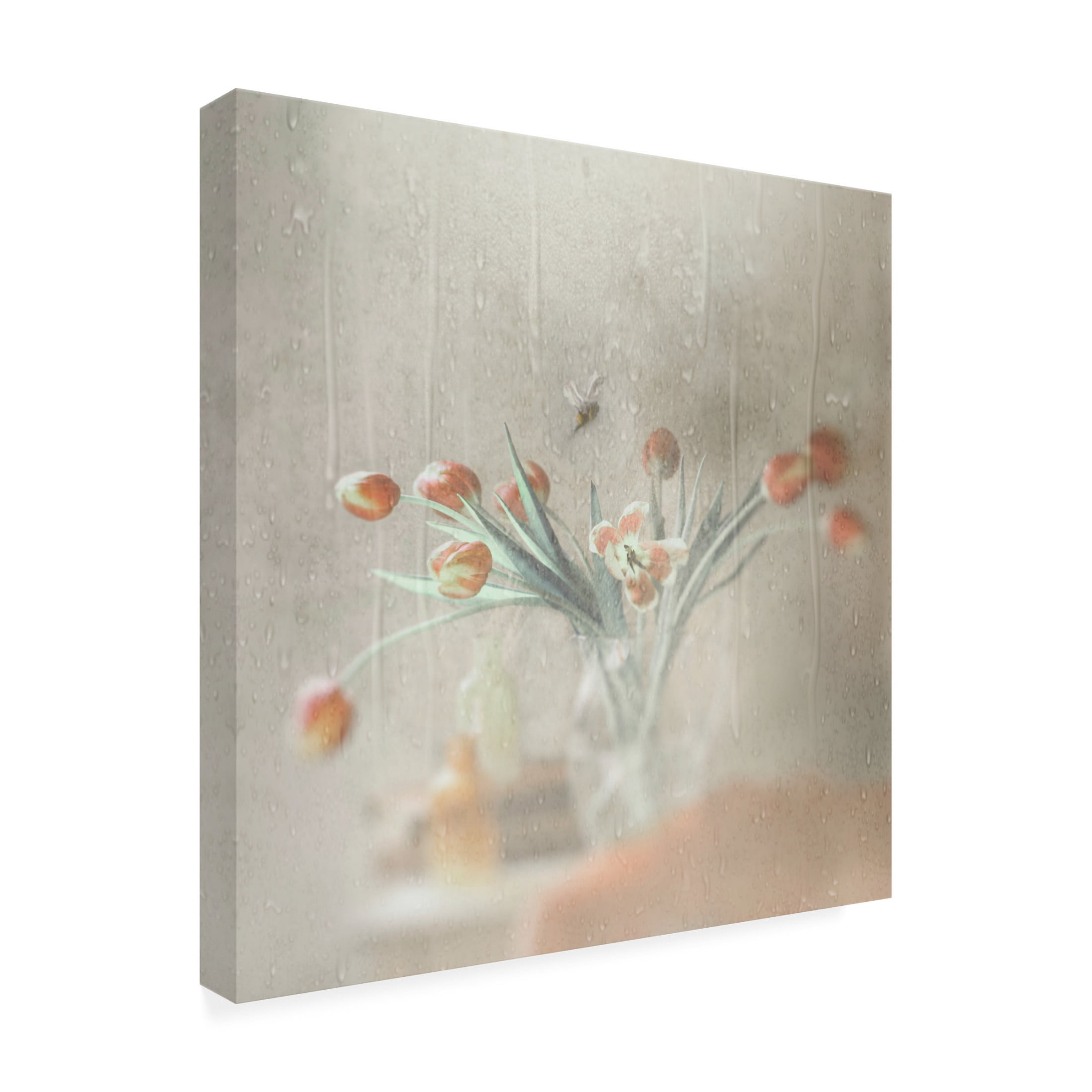 Canvas Wall Art - Gilbert Claes 'Unexpected Rain' Wall Art for Living Room, Bedroom, or Office Décor by Trademark Fine Art - 14 x 14 Inches