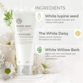 thumbnail image 3 of The Face Shop WHITE SEED Exfoliating Cleansing Foam 150ml, 3 of 6