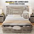 View all media