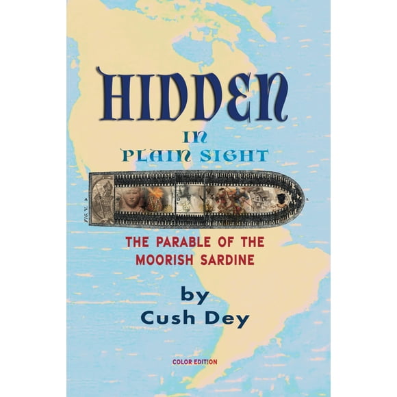 Libro Hidden in Plain Sight de Califa Media Publishing
