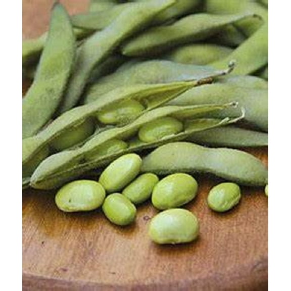 Be Sweet Edamame Soy Bean Seeds -100 Seeds Sweet, Tender, High Yield - High Protein, Non-GMO - Grow Your Own Superfood and savor the delicious flavors they bring to your meals. Enjoy as edamame, tofu,