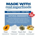 thumbnail image 3 of The Healthypup Co – Gut Support – Soft Functional Dog Treats with Prebiotics & Pumpkin, 4-oz bag, 3 of 8