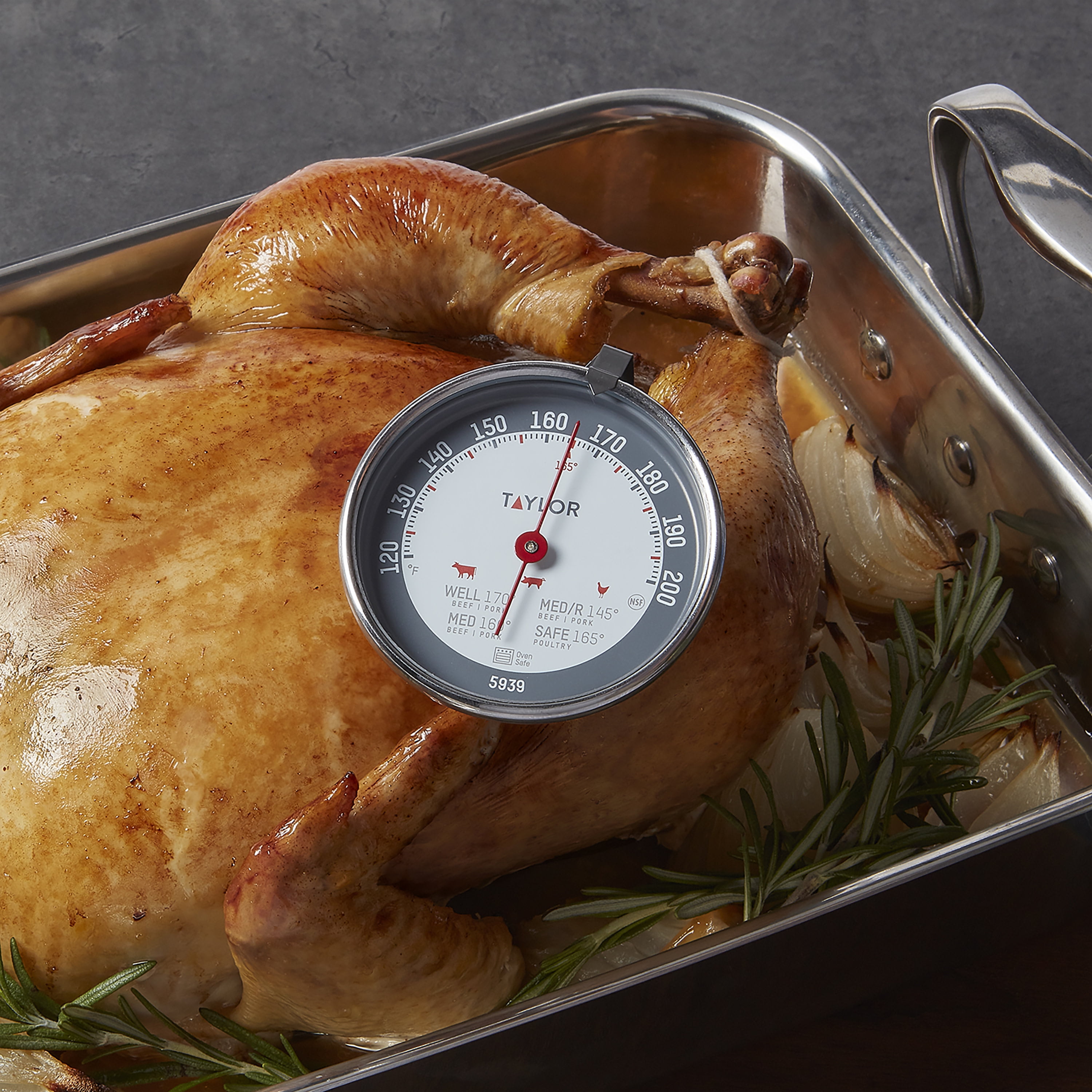 Taylor Leave-in Meat Analog Dial Kitchen Thermometer