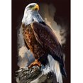 thumbnail image 1 of Kit de pintura con diamantes de águila (para adultos) — Arte con diamantes redondos de perforación completa (águila calva americana), ideal para la decoración de salas(40x50 cm, sin marco),Eagle, 1 of 5