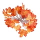 thumbnail image 1 of Cadena de luces Salvador Decoración decorativa de Otoño Batería de 3m, 1 of 3