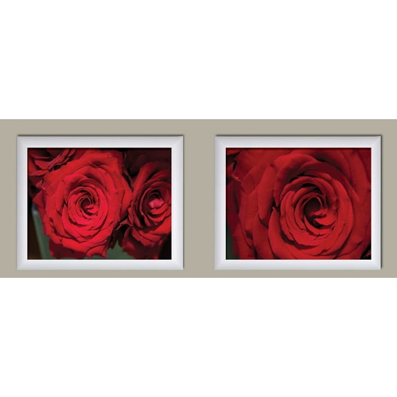Red Roses | Gorgeous Blooming Red Roses Floral Photograph Print; Two 14x11in White Framed Prints; Ready to hang!