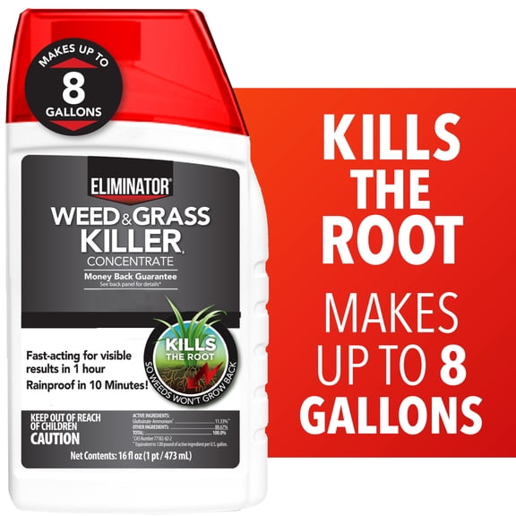 Eliminator Weed & Grass Killer Concentrate Herbicide, 16 fl oz, Kills Down to The Root