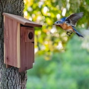 Pennington Red Cedar Bluebird Wild Bird House, 1 Pack
