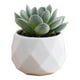 thumbnail image 2 of Mini Artificial Succulent In Plastic Pots Fake Plants For Indoors Office Decor For Women Office Home Decor Gifts Faux Plant, 2 of 6