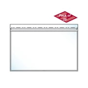 EnvyPak Clear Presentation Envelope Holds Large Format Documents - Resealable Tape - Holds 13.5" X 21" Insert - Pack of 25