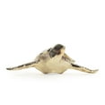 thumbnail image 5 of Zentique SHI042 10 x 3.5 x 11.75 in. Sea Turtle Sculpture, Black & Cream - Small, 5 of 5