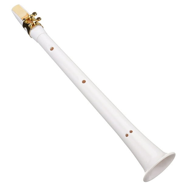 Achetez Saxophone Portable ABS Sax Mini Pocket Little Sax Woodwind  Instrument Jouet Avec Sac de Transport - Ton C de Chine