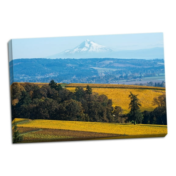 Gango Home Decor Contemporary Dundee Hills I by Stan Hellmann (Ready to Hang); One 24x16in Hand-Stretched Canvas