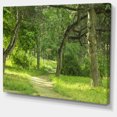 thumbnail image 2 of Green Forest Path in Early Summer, 2 of 3