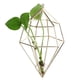 thumbnail image 4 of Decoración de pared moderna para el hogar, soporte geométrico de metal para plantas de aire, 4 of 8