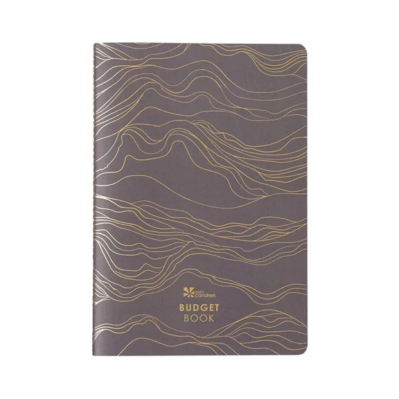 Erin Condren Designer Petite Planner - Budget Book Edition 4. Includes Spendi...