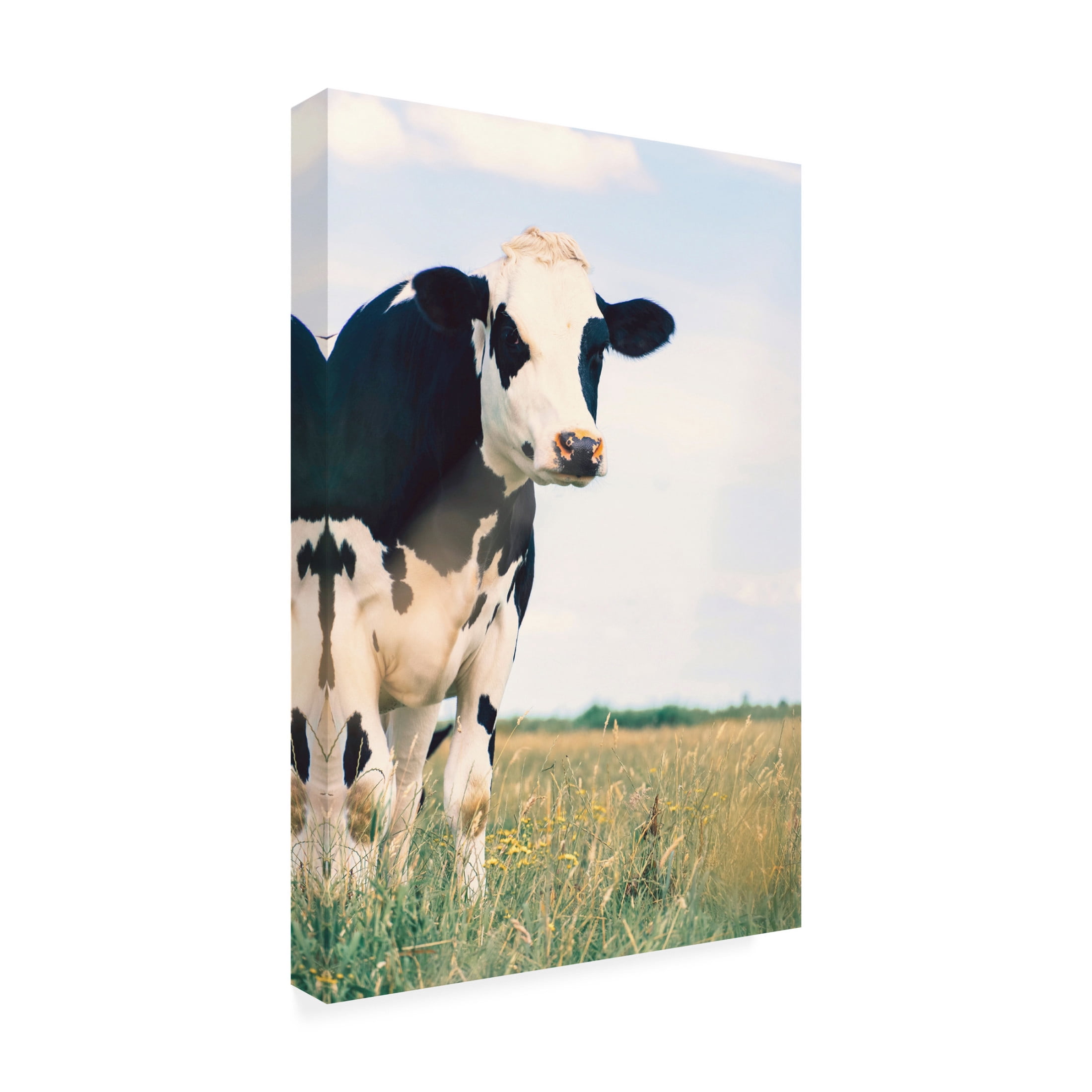 Canvas Wall Art - Krista Broadway 'Kenton' Wall Art for Living Room, Bedroom, or Office Décor by Trademark Fine Art - 16 x 24 Inches