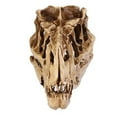 thumbnail image 3 of Individuality Unique Resin Dinosaurs Skull Model for Indoor, 3 of 10