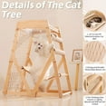 thumbnail image 4 of Colourtree 33.46'' H X 27.56'' W X 20.28'' D Cat climbing frame for Indoor with Hammock Straching Post Climbing Web and Danging Sisal Ball, 4 of 5