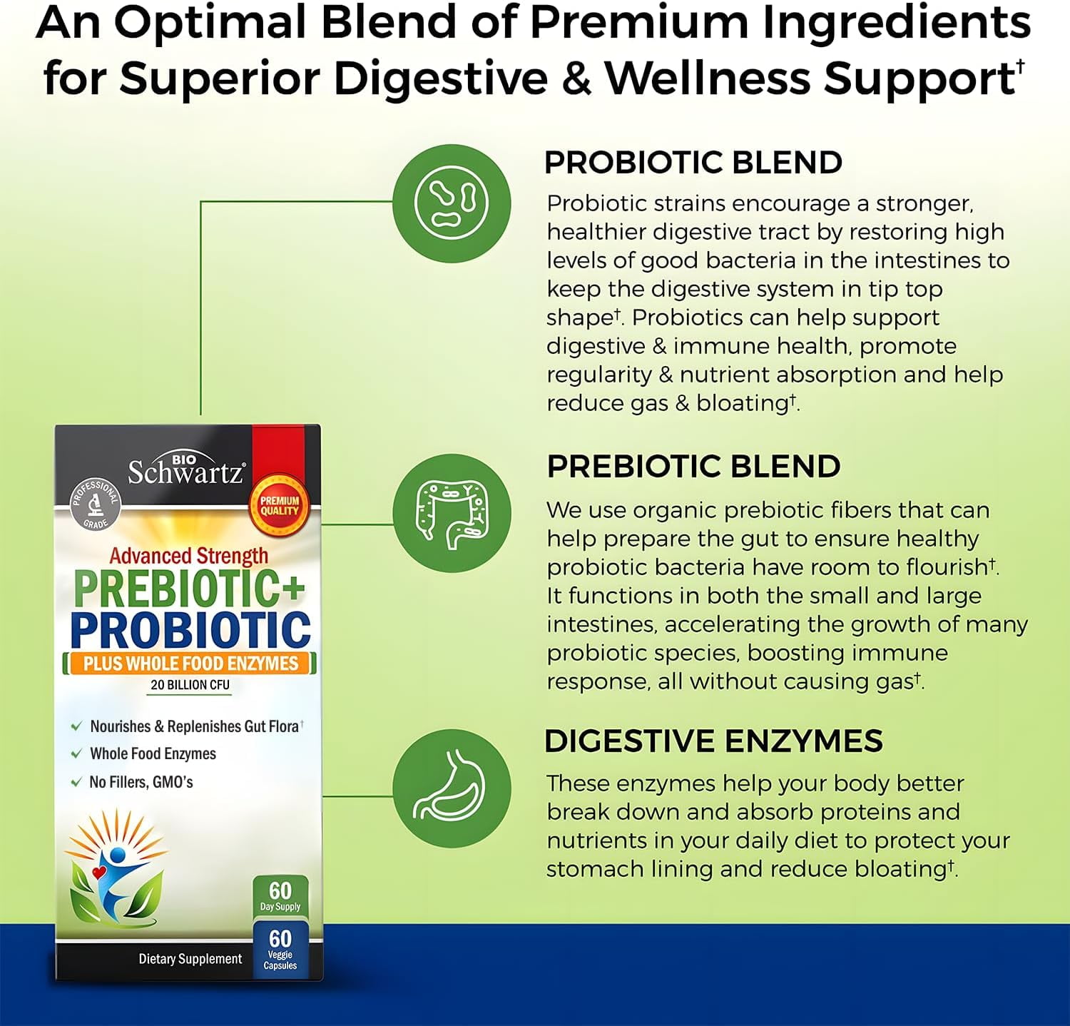 BioSchwartz Prebiotics and Probiotics with Digestive Enzymes for Adults, 60 Capsules