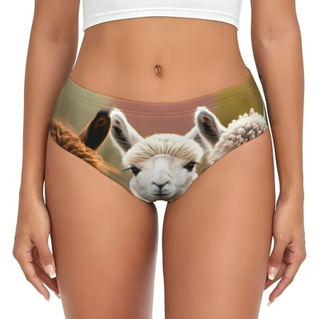 Naloa Cute Alpaca in Daze Womens No Show Cotton Underwear Mid-High Waisted Soft Ladies Panties Strech Breathable Briefs -4X-Large