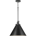 thumbnail image 4 of Progress Lighting Hinton 1-Light Pendant, Matte Black, Cone Shade, 4 of 17