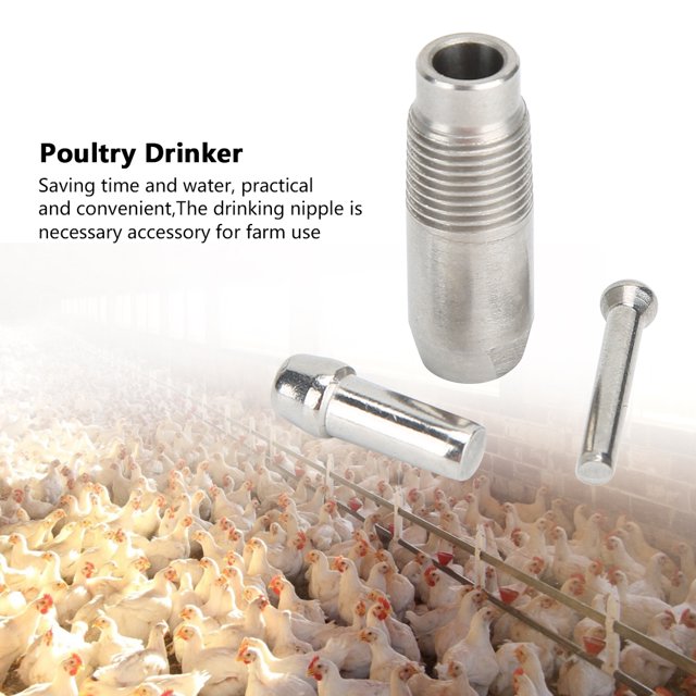 Boule Roulante en Acier Inoxydable à 360 Degrés pour Volaille, Poulet, Gain de Temps pour Poulet Canard