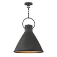 thumbnail image 1 of Hinkley 3555DZ Winnie - 18 Inch 1 Light Pendant, Aged Zinc/Distressed Black Finish, 1 of 2