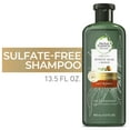thumbnail image 2 of Herbal Essences Bio: Renew Curly Shampoo, For Curly Hair, Aloe and Mango, 13.5 fl oz, 2 of 10