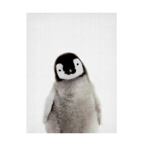 Lola Peacock 'Peekaboo Baby Penguin' Canvas Art
