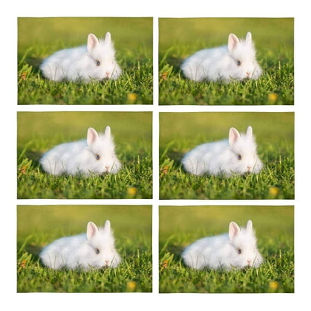 

MKHERT Little Fluffy Rabbit Outdoors in Summer Cute Animal Placemats Table Mats for Dining Room Kitchen Table Decoration 12x18 inch Set of 6