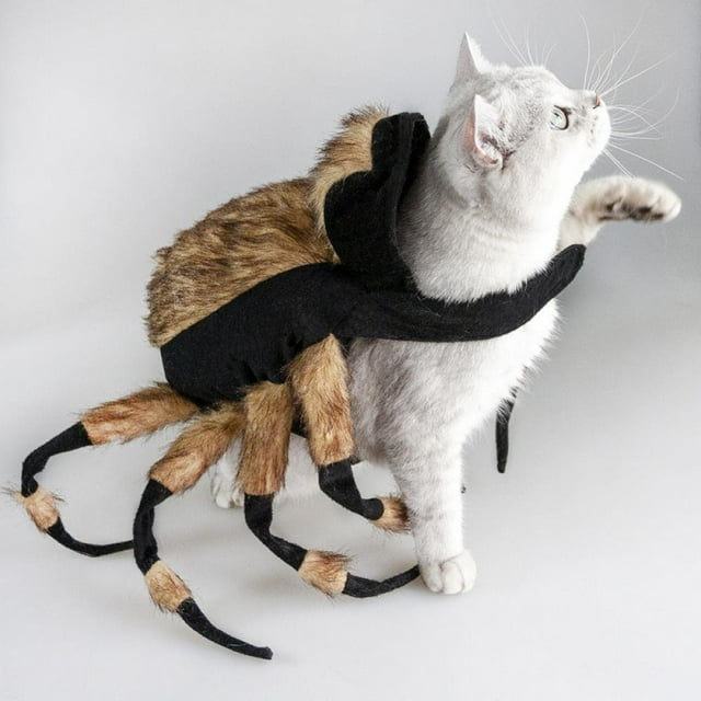 Wuffmeow Halloween Pet Cosplay Spider Costume For Small Medium Dogs Cat