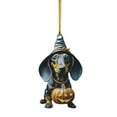 thumbnail image 2 of Christmas Dachshund Dog Ornaments 2D Acrylic Hanging Decorations, Cute Sausage Dog Tree Pendant for Holiday Party Home Decor, Funny Animal Car Interior Wall Gift, Winter Xmas Decor, 2 of 9