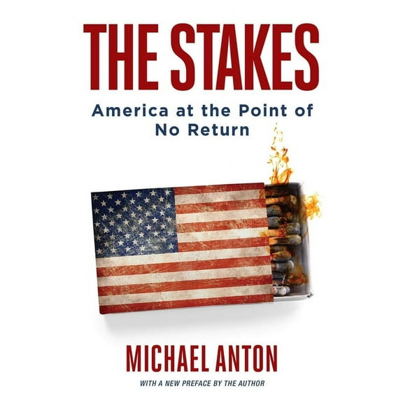 The Stakes : America at the Point of No Return (Paperback)