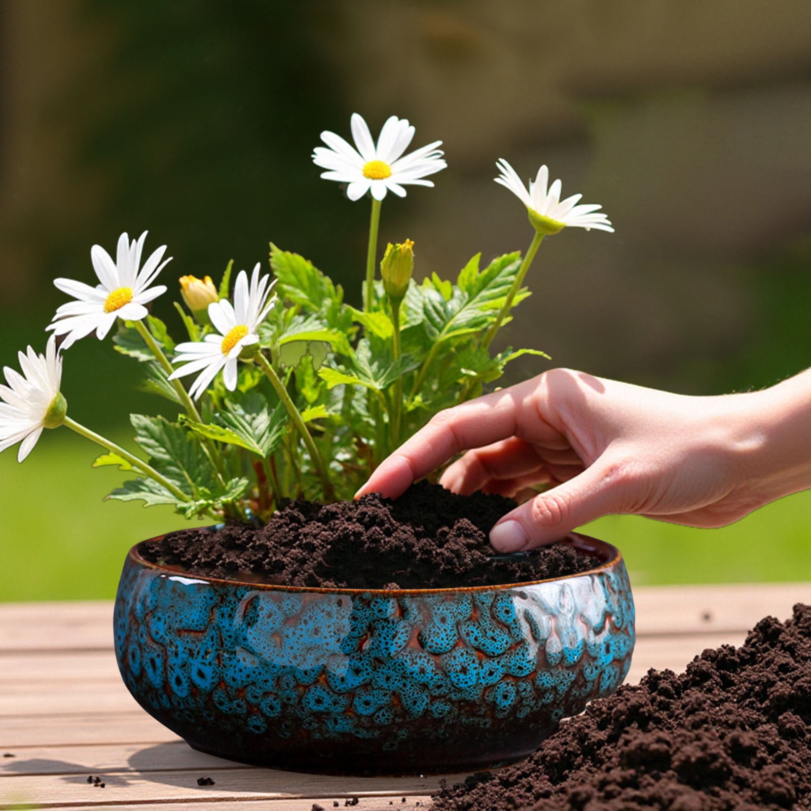 Lotus Bowl Planter, 6.5x6.5x2.55 Lotus Water Lily Succulent Ceramic Basin, Lotus Bowls for Planting in Water Indoors, Hydroponic Flower Pots Without Drain Holes, for Succulent