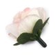 thumbnail image 2 of 30 rosas artificiales de 3 cm para decoración de bodas (color blanquecino), 2 of 5