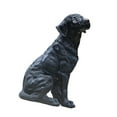 thumbnail image 4 of Figura de perro para jardín, decoración creativa de resina para el patio, estante para la sala de estar. Negro, 4 of 8