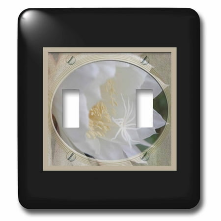 3dRose Queen of the Night in Oval Frame - Double Toggle Switch (lsp_62822_2)