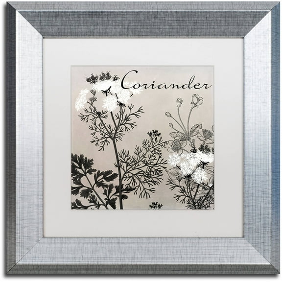 Trademark Fine Art "Flowering Herbs IV" Canvas Art by Color Bakery White Matte, Silver Frame