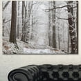 thumbnail image 2 of DESIGN ART Designart "Forest Trail on Winter Morning" Large Forest Artwork Print on Canvas - White 32 in. wide x 16 in. high, 2 of 4