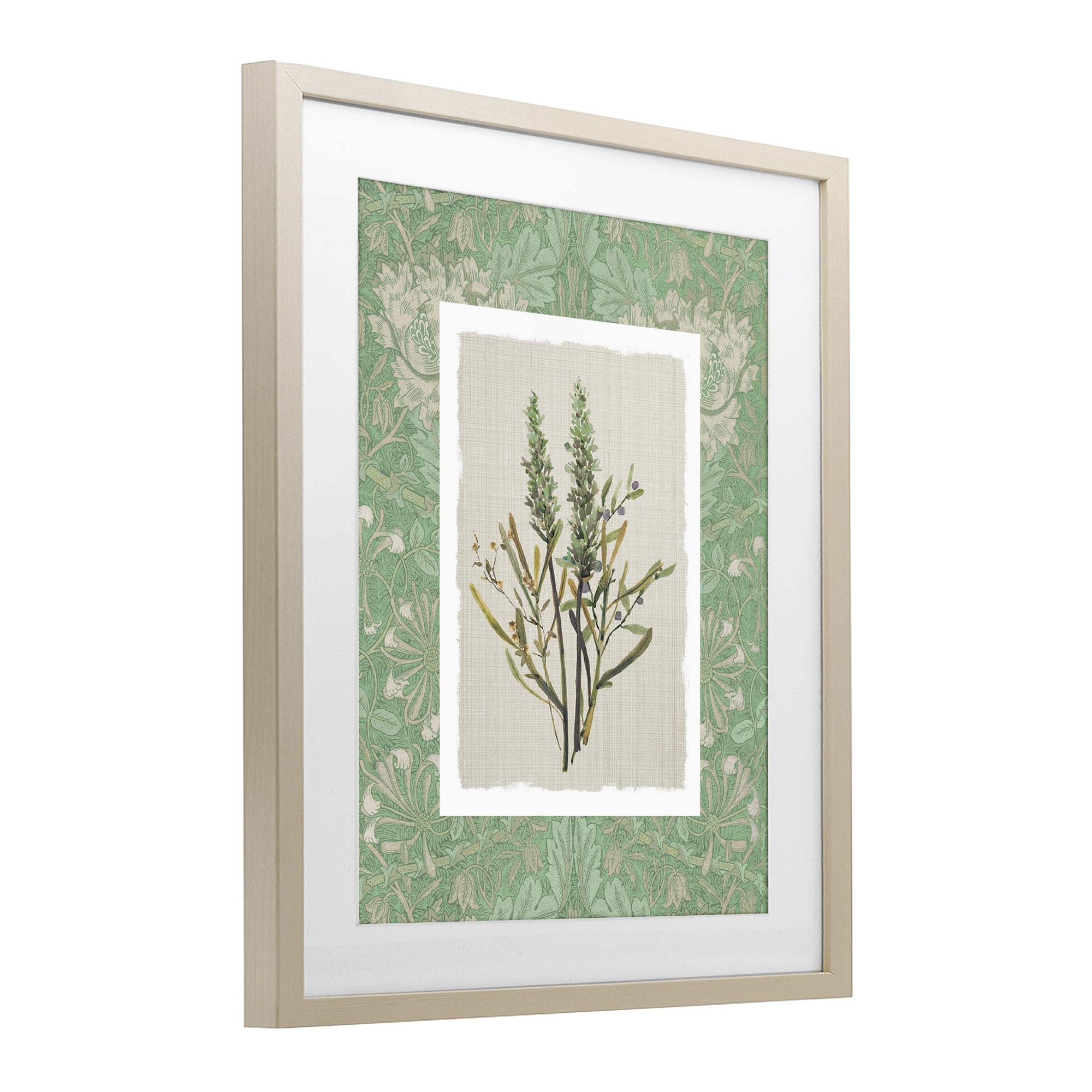 Stupell Industries Antique Foliage in Green Birch Framed Print Under Glass, design by Carol Robinson