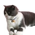 thumbnail image 3 of Mosey Practical Cat Necklace Chinese Style   Pet Accessories   Wear-resistant, 3 of 7