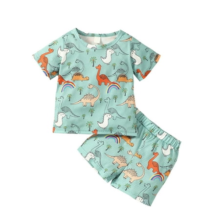 

TAIAOJING Toddler Baby Boy Clothes Suit Summer Cartoon Dinosaur Cute Factory Summer Boy Cartoon Short Sleeve T Shirt Shorts 2pcs Suit 12-18 Months