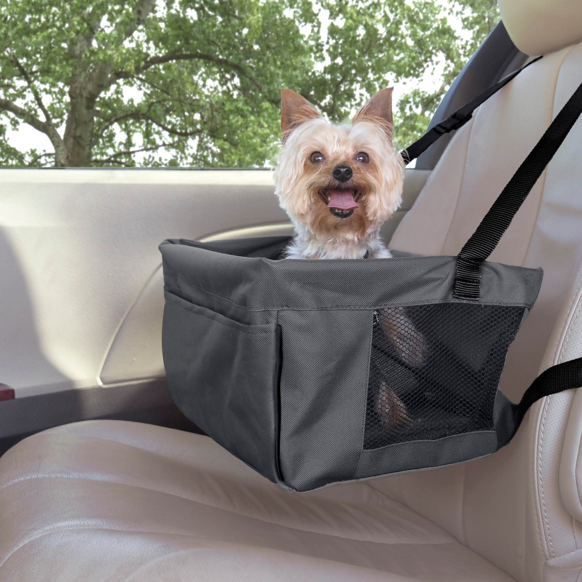 Walmart dog top booster seat