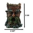 thumbnail image 2 of Ebros Cernunnos Greenman Ent Backflow Incense Cone Burner Statue 3.25" H Decor, 2 of 9