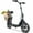 Black Olive, variant on Electric Scooter with Seat and Basket for Adults and Teens – 12" Tires, 18 Mile Range, 450W Motor, 48V Battery – Folding Adjustable Bar – Madd Gear Pendolare